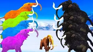 Five Black Mammoths Vs Zombie Elephants Fight on Snow Attack Baby Mammoth Saved by Mammoth Elephant