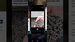What is Chitin?