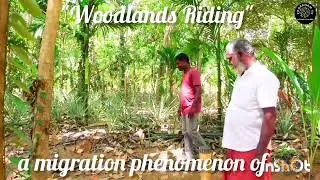 Diehard passion for Butterflies 🦋 Narpavi Woodlands Farms Park Karukkai Village Ariyalur District 