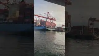 Port of Vancouver #canadiancity #travel #pacificoceanviews