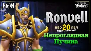 Непроглядная Пучина соло | 20 лвл вар | WoW MoP Classic