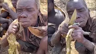 Hunting and eating African natives