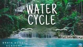 Water Cycle full detail video I Brain Boost Academy #brainboostacademy #education #science