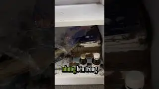 What do termites eat? #termitecontrol #ants #house #insectcontrol #beneficialtermites #insects #n...