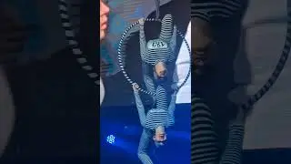 Catwalk Нижний Новгород, XXIII сезон #catwalkdancefest #circus #polesport #acrobatics #aerial