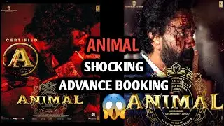 Animal Movie Advance Booking Open In India | Animal RAMPAGE Advance Booking | Animal Update #animal
