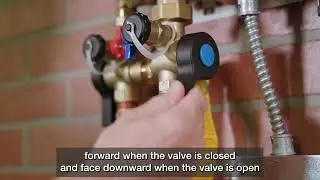 Watts LFTWHG2 Tankless Water Heater Valves