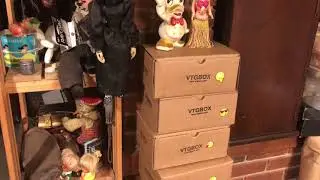 JW Talks - Vintage Subscription Boxes