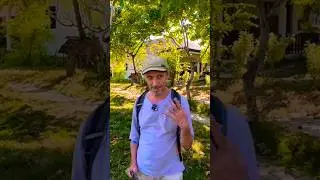 Острів Малапаску - це міні модель всіх Філіппін!