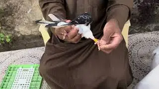 سهيل المبارك وابوعلي في بيتي تصوير حمام منصور مقليه الشحنه الاخيره