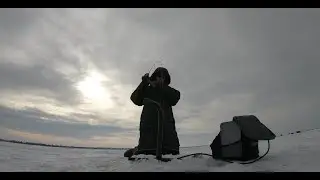 locating schools of fish using Garmin Livescope