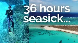 Diving the remote Diamond Islet (EP. 1 Sailing Coral Sea)