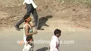 LK Advani's Rath Yatra - Kar Sevaks brandishing swords, orange flags