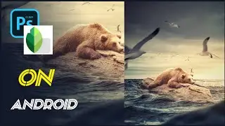 The Lost Bear photo manipulation | ps touch photo manipulation | ps touch photo editing