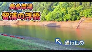 奥多摩湖 留浦浮橋 を調査ドラム缶橋 減水で通行止め おかっぱりポイントを探す旅