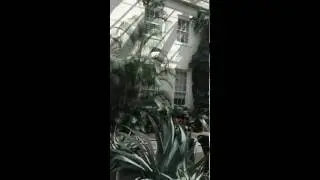 Visiting the Pierce / du Pont house
