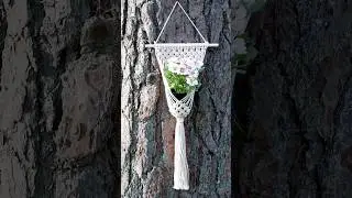 DIY Macrame Plant Hanger EASY Home Decor #macrame