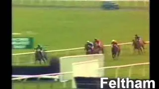 Horse Racing 1986 Feltham Novice Chase  Full Race