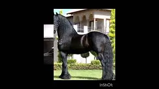 Клипец. 😎