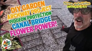 DIY Garden Archway Project, Pidgeon Protection, Canal Bridge, Flower Power!