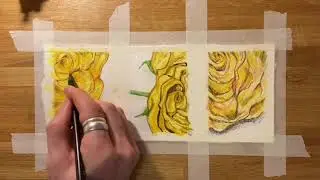 Observational drawings in different media