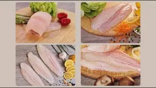 Premium Pangasius Fish Processing at CASEAMEX
