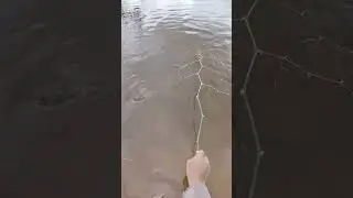 No Hook  No Net  Just Skill