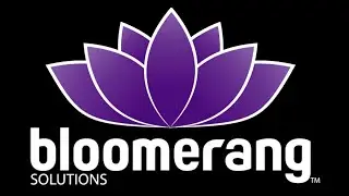 Bloometrix overview from Bloomerang Solutions