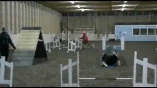 100413 Tirppu agiliit&auml;&auml; treeneiss&auml;