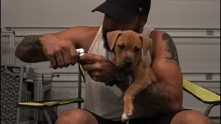 Puppy Nail Care Simplified! Avoid Future Paw Problems!