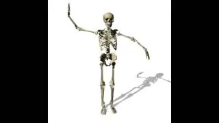 Wicked Skeleton