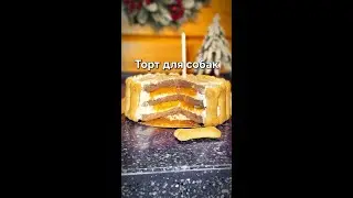 Treat Your Furry Friends with This Paw-Some Homemade Pet Cake! 🐾🎂 #Recipe #puppy #doglover