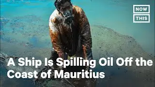 Hundreds Scramble to Help Mauritius Oil Spill Cleanup Efforts | NowThis