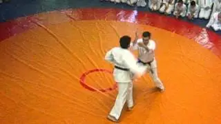Айкидо, показательные, май 2013 (Real aikido)