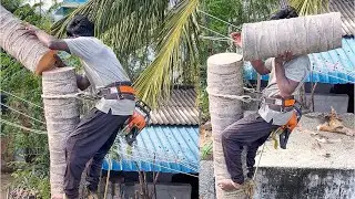 8610339350 tree cutter Suyambu | panakudi tree cutting #treecutter #treeremoval #kanniyakumari ￼