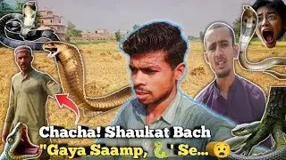 Chacha! Shaukat Bach 