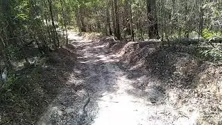 Maudsland Yowie Bigfoot Hairyman Search