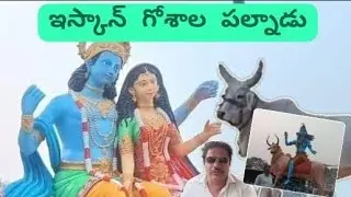 ఇస్కాన్ గోశాల పల్నాడు/#iskcon/#cows/#india/#uppalapadu