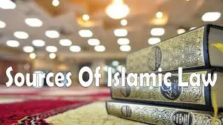 Sources of Islamic law || Islamic Jurisprudence #studyorbitwithiftikhar