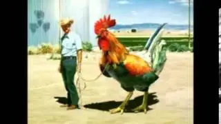 Diki Diki   YouTube