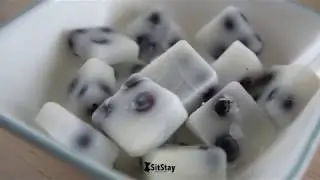 Frozen Blueberry Dog Treat