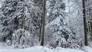 Zurich Winter Wonderland Snow Walk Switzerland ❄️ 🇨🇭