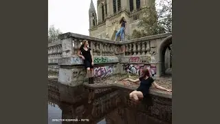 Fette