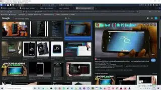 OSINT con Linux - Modulo 5.2: Seeker&Ngrok