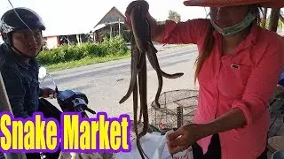 Asian Street Food Market - Vietnam Snake Market - Ran Chuot Dong Mien Tay