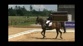Ute Fiederer-Seles & Farinelli 28 (sired by Fiderstar) - Dressage Competition Class S Young Horses