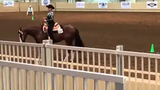 Gettin Real horsemanship
