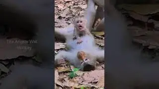 Poor reaction moment went to see mother rejected milk like that, Baby feeling really hungry moment