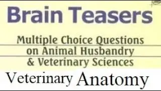 Veterinary Anatomy Brain Teasers Solved MCQs COMPLETE CHAPTER