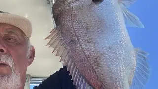 Coffs Harbour November 2025 episode 2 #fishing #fish #flathead #ocean#catch#